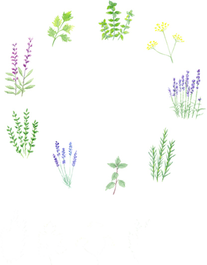 ハーブリーディングイラスト